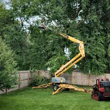 Best Tree Preservation Services  in Diamond Ridge, AK